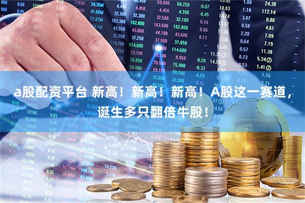 a股配资平台 新高！新高！新高！A股这一赛道，诞生多只翻倍牛股！
