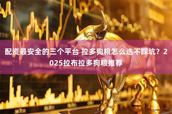 配资最安全的三个平台 拉多狗粮怎么选不踩坑？2025拉布拉多狗粮推荐