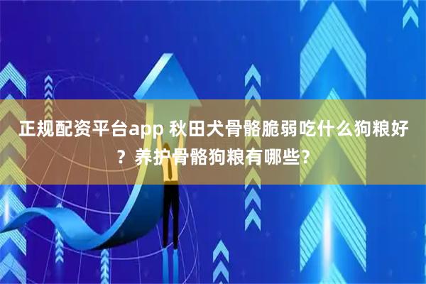 正规配资平台app 秋田犬骨骼脆弱吃什么狗粮好？养护骨骼狗粮有哪些？