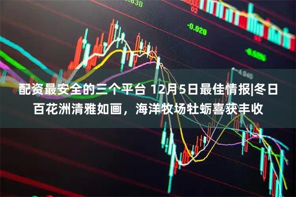 配资最安全的三个平台 12月5日最佳情报|冬日百花洲清雅如画，海洋牧场牡蛎喜获丰收
