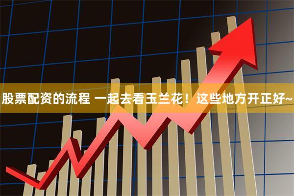 股票配资的流程 一起去看玉兰花！这些地方开正好~