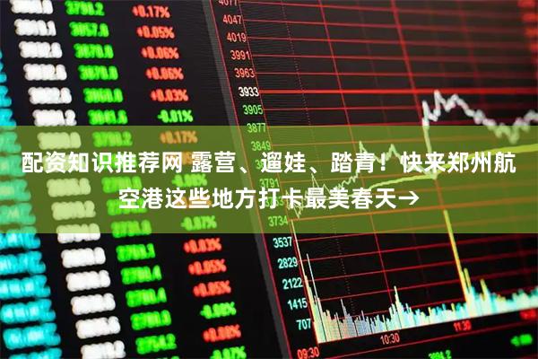 配资知识推荐网 露营、遛娃、踏青！快来郑州航空港这些地方打卡最美春天→